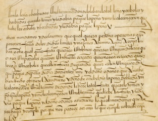 Imagen flotante